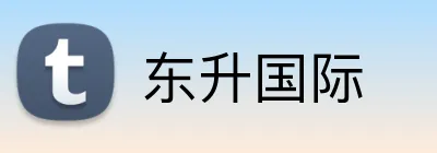 东升国际 logo